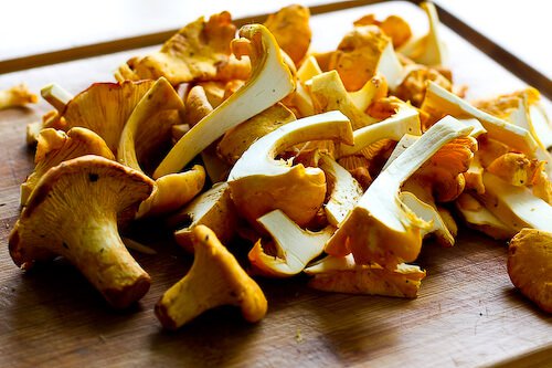 chanterelle-bacon-blue-cheese-plum-salad-34