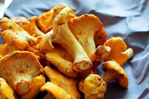 chanterelle-bacon-blue-cheese-plum-salad-6